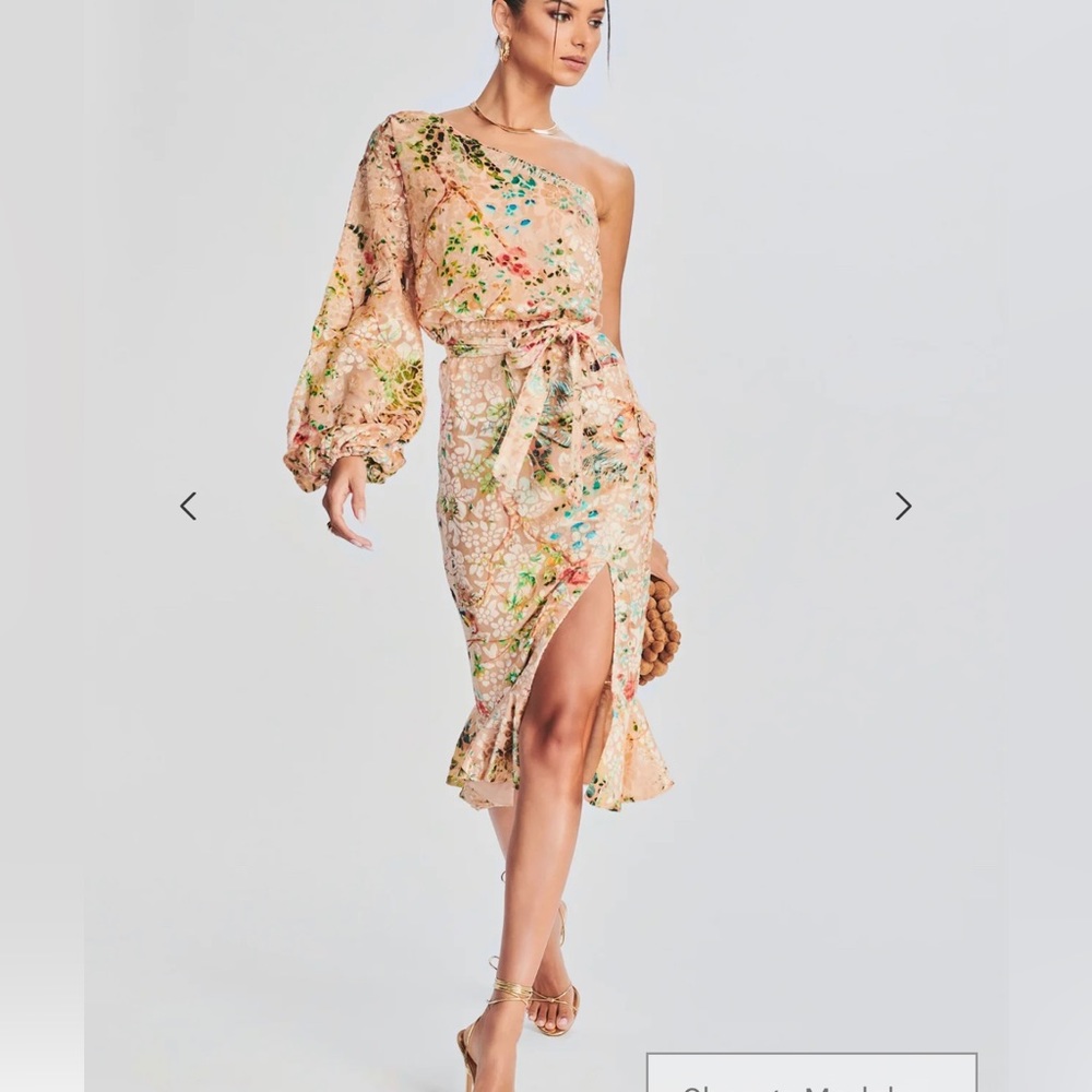 Hemant & Nandita ‘Veena’ Long Dress NWT
